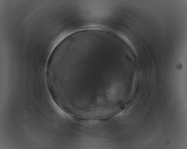 X0000091211482200708231555