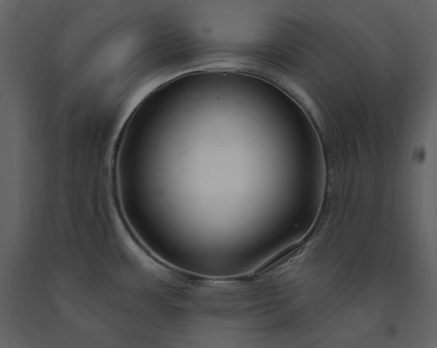 X0000091211483200708231555