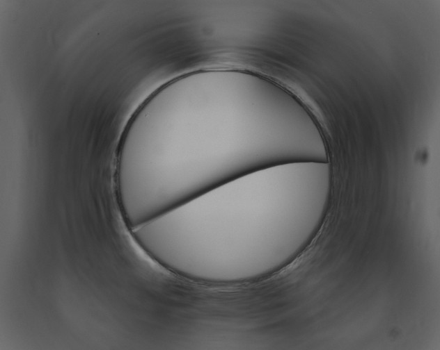 X0000091211484200708231555
