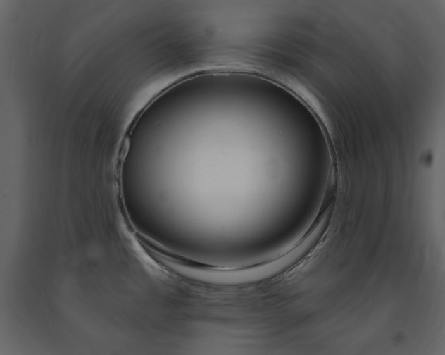 X0000091211485200708231555