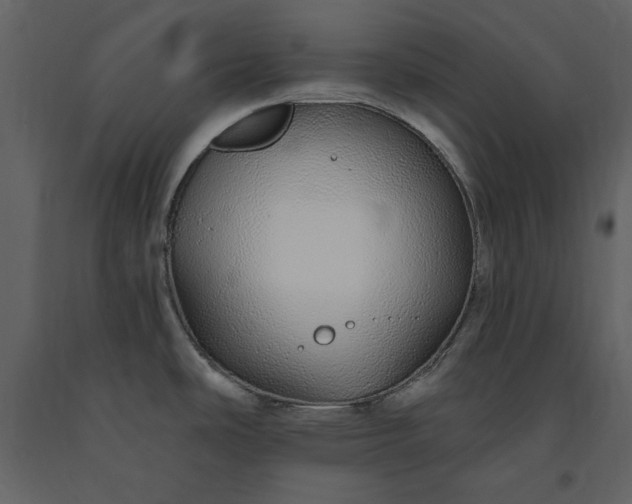 X0000091211486200708231555