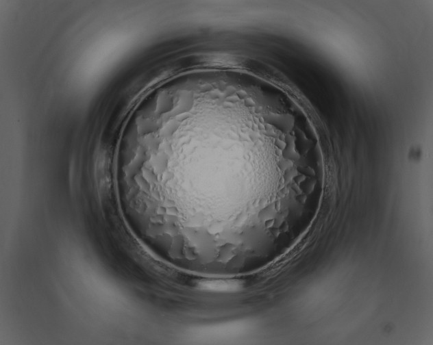 X0000091211487200708231555