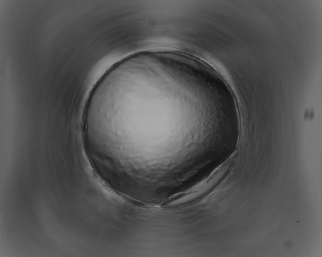 X0000091211488200708231555