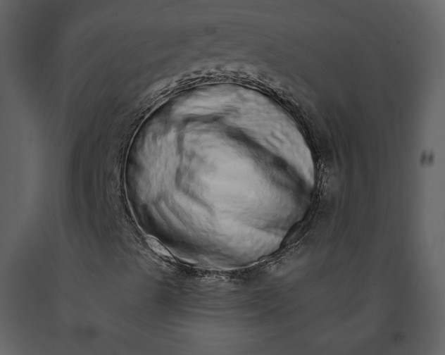 X0000091211489200708231554
