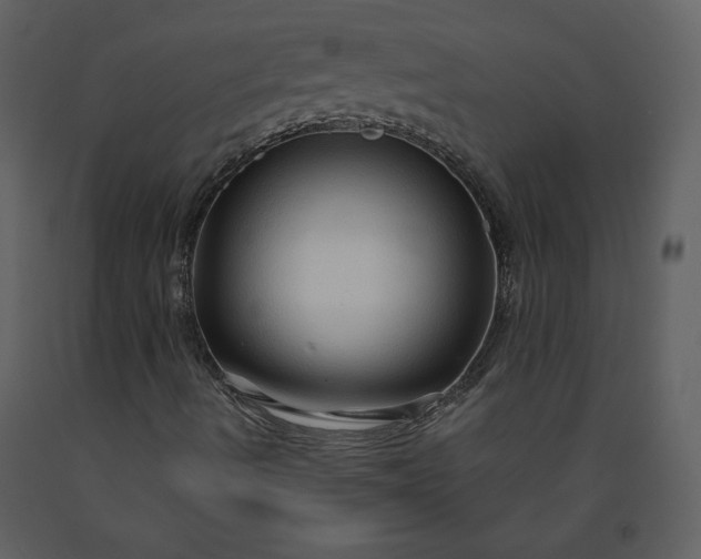 X0000091211490200708231554