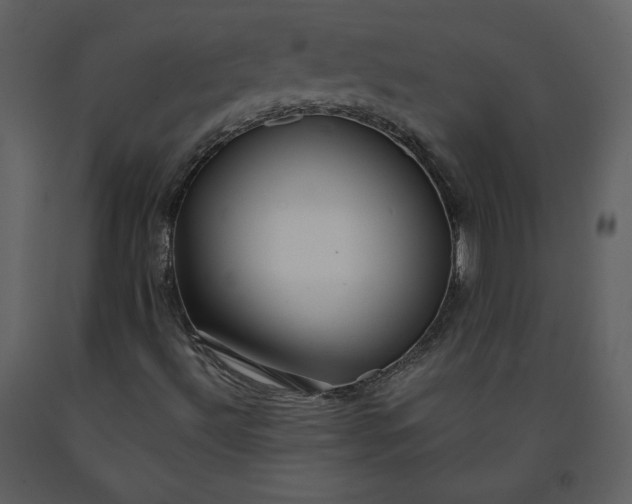 X0000091211492200708231554