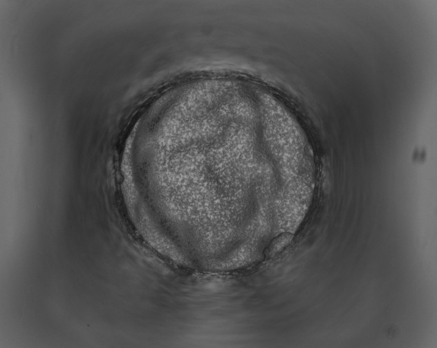 X0000091211493200708231554