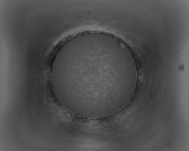 X0000091211495200708231554