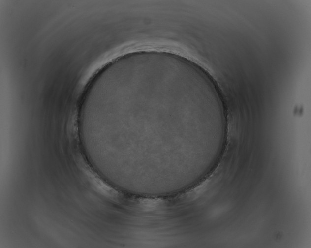 X0000091211498200708231554