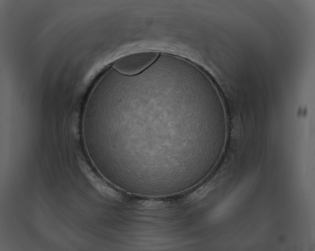 X0000091211499200708231554
