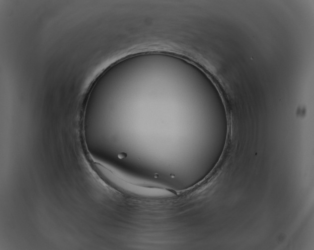 X0000091211500200708231554