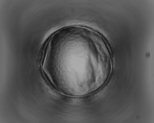 X0000091211501200708231554