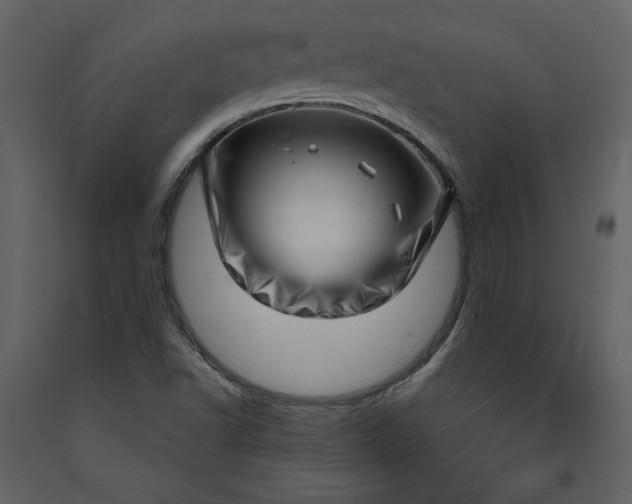 X0000091211502200708231554