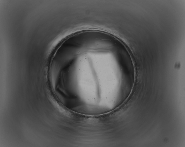X0000091211503200708231554