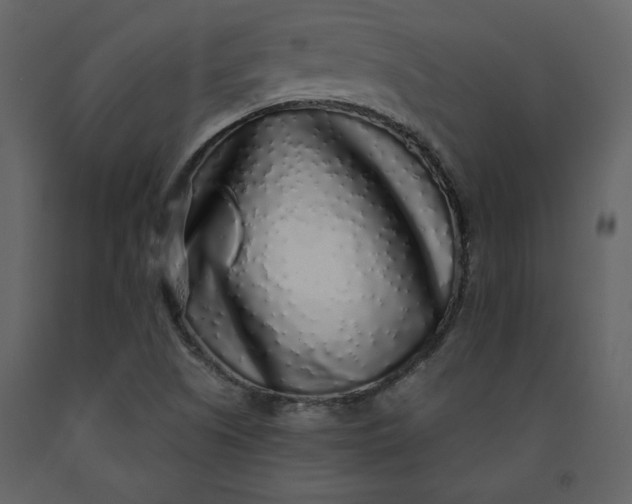 X0000091211505200708231555