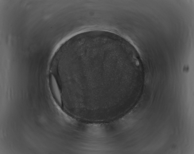 X0000091211508200708231555