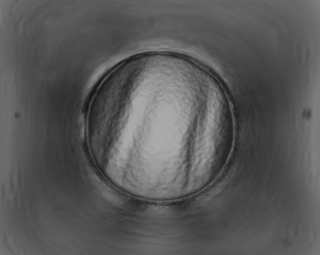 X0000091211509200708231555