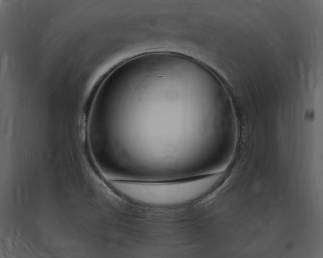 X0000091211510200708231555