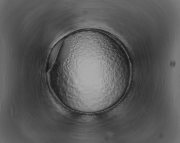 X0000091211513200708231555