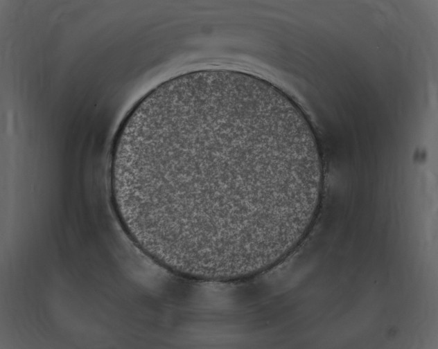 X0000091211514200708231555
