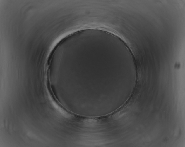 X0000091211515200708231555