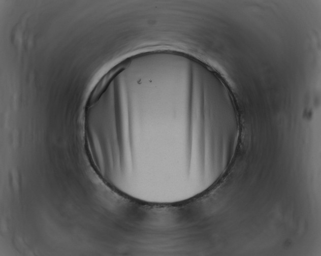 X0000091211516200708231555