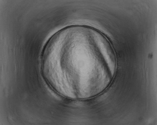 X0000091211517200708231555