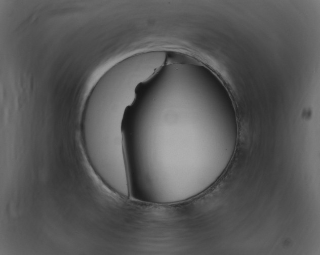 X0000091211520200708231555