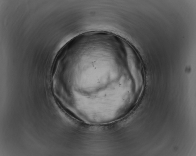 X0000091211521200708231555