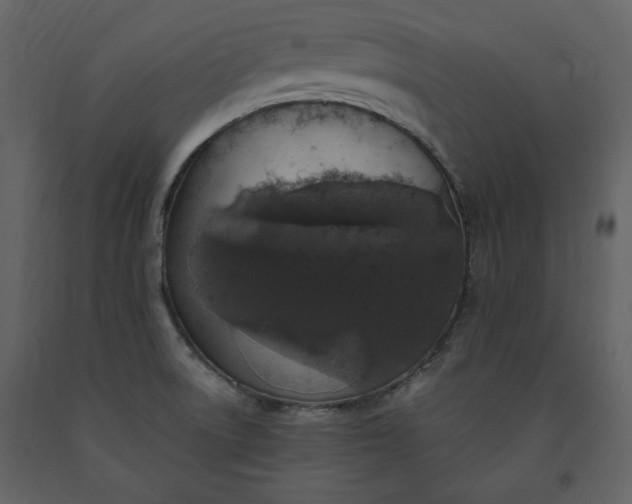 X0000091211522200708231555