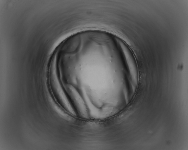 X0000091211523200708231555