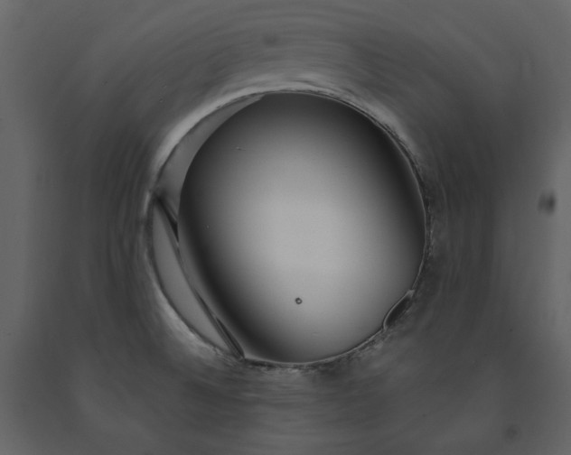 X0000091211524200708231555