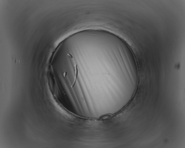 X0000091211526200708231555