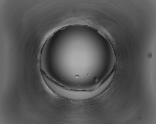 X0000091211528200708231555