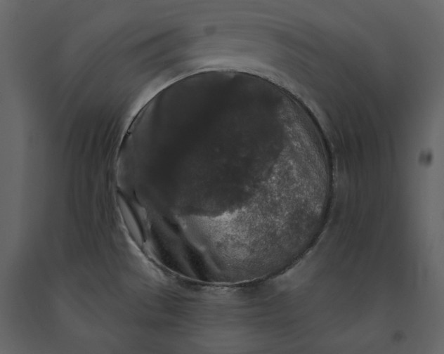 X0000091211529200708231555