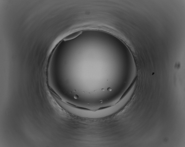 X0000091211530200708231555