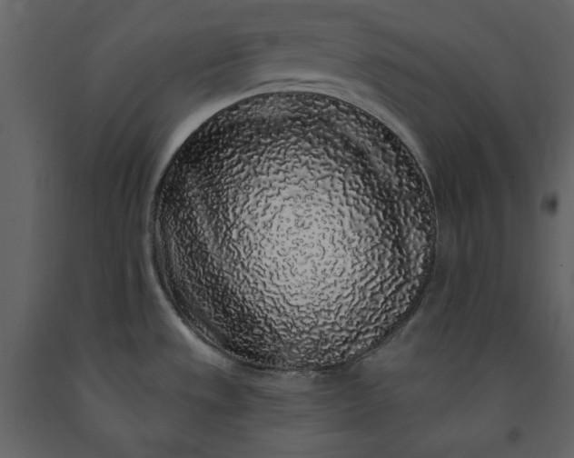 X0000091211533200708231555