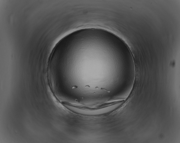 X0000091211534200708231555