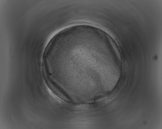 X0000091211535200708231555