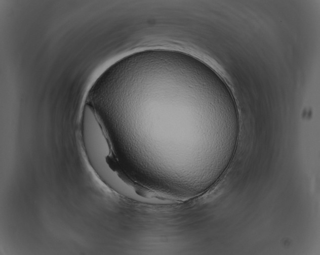 X0000091211536200708231555