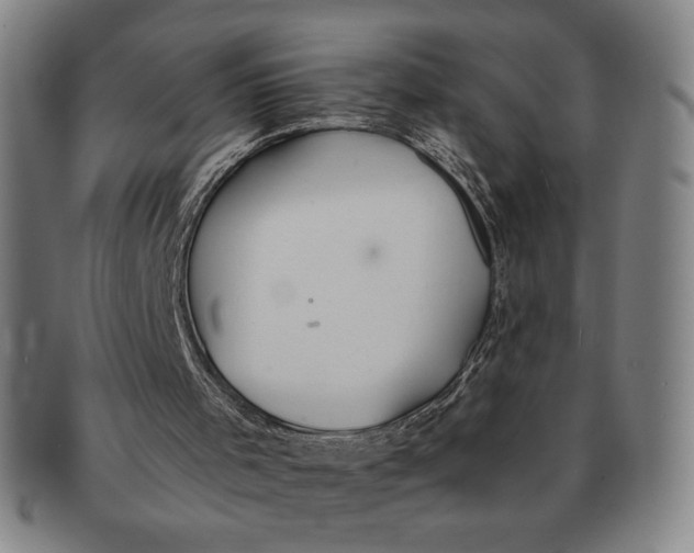 X0000091210001200708301439