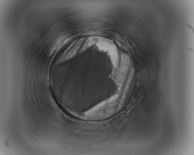 X0000091210002200708301439