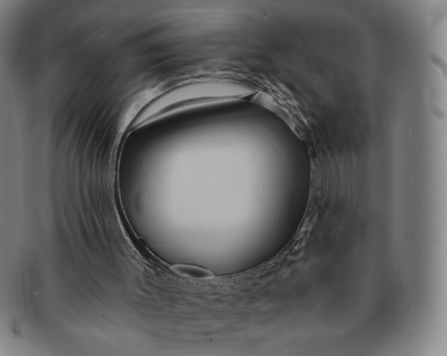 X0000091210003200708301439