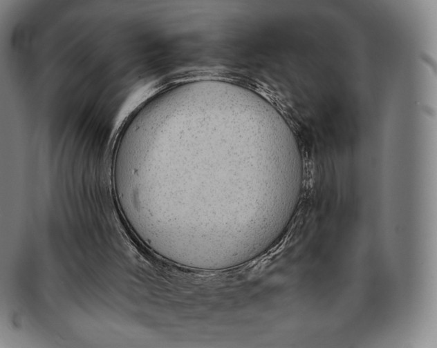 X0000091210004200708301439