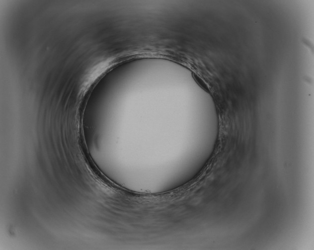 X0000091210005200708301439