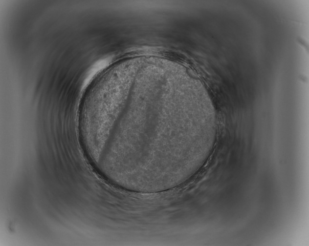 X0000091210006200708301439