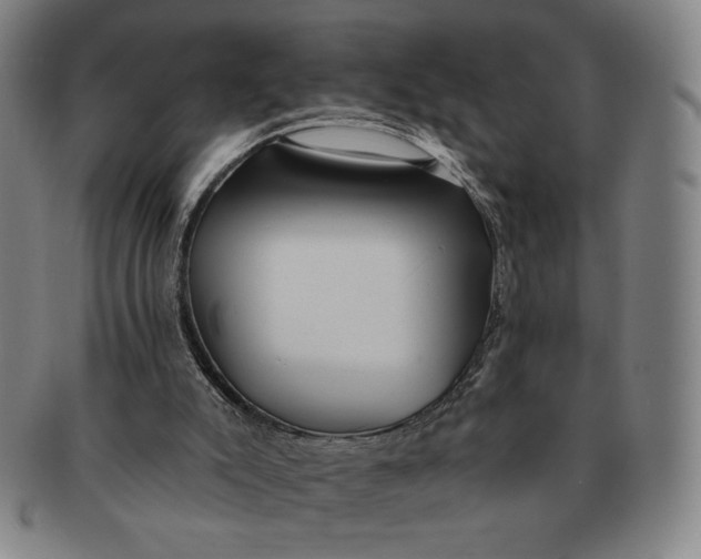 X0000091210007200708301439