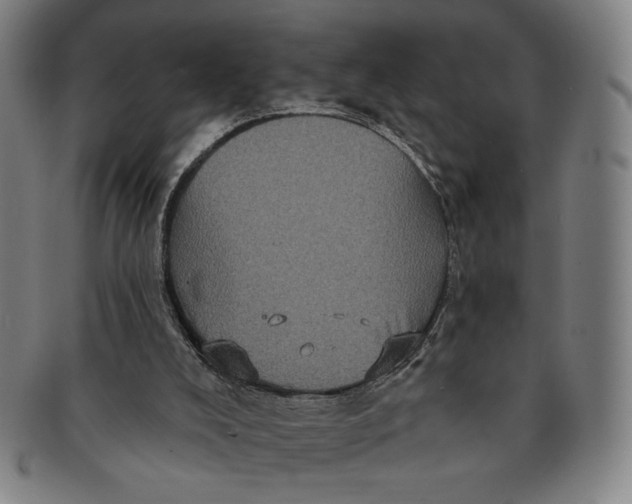 X0000091210008200708301439