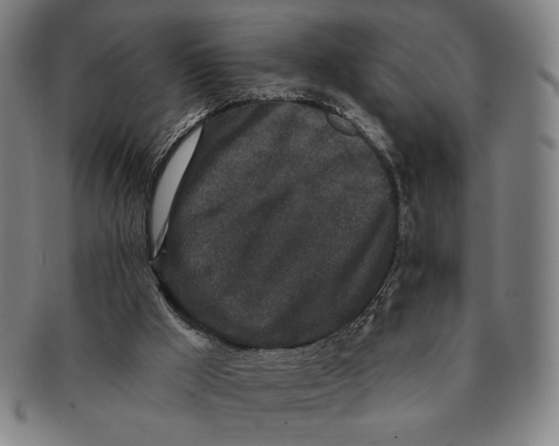 X0000091210009200708301439