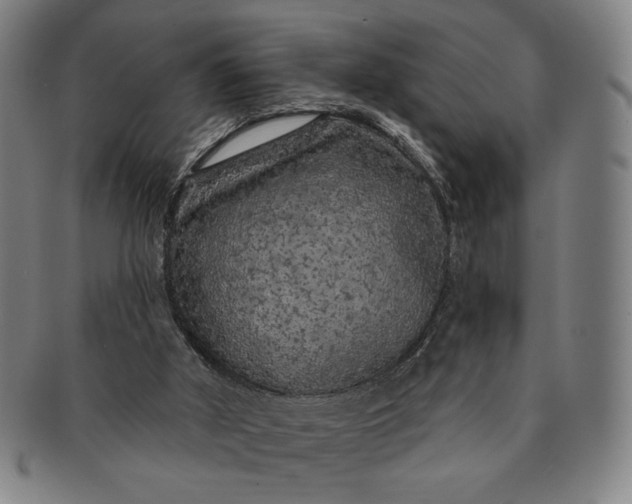 X0000091210010200708301439